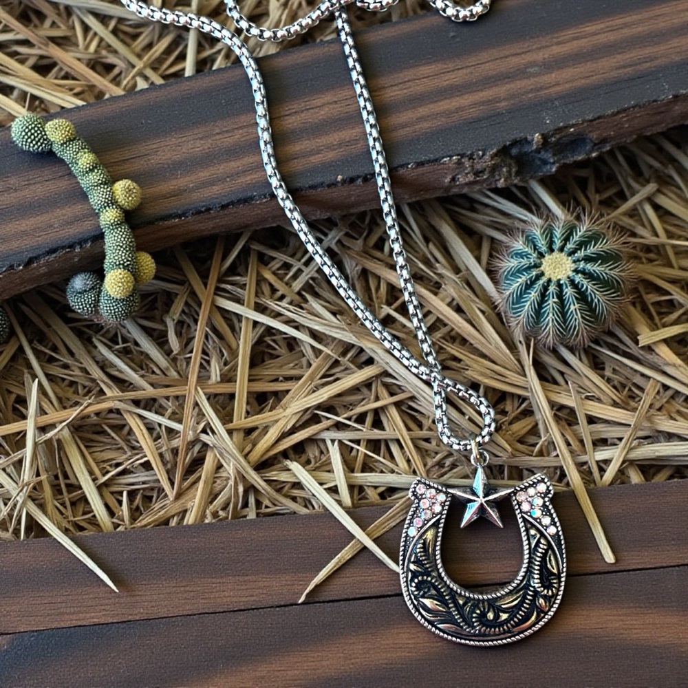 Silver and Gold Toned Horseshoe Necklace with Star Accent on a 24” chain - Picture 8 of 17